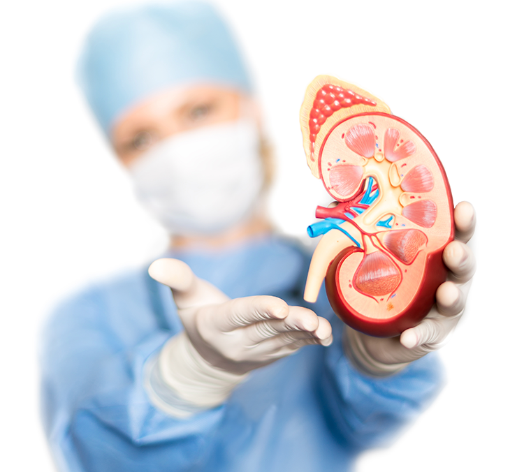 Nephrology