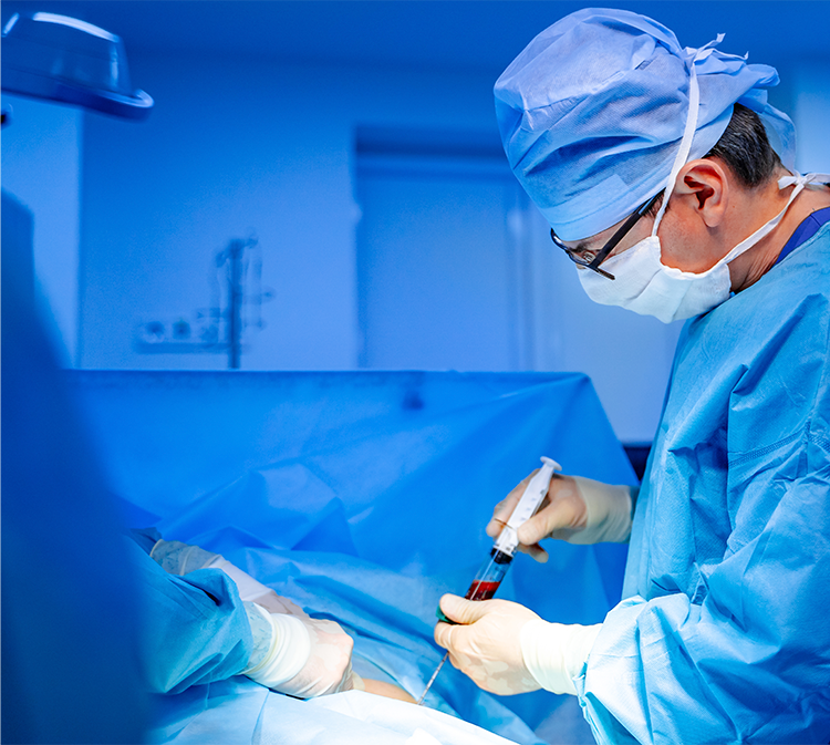Bone Marrow Transplant