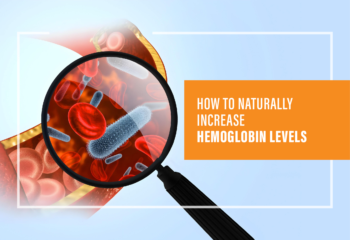 How to Naturally Increase Hemoglobin Levels